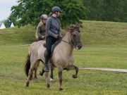 Pferd International 2025