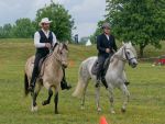 Pferd International 2025