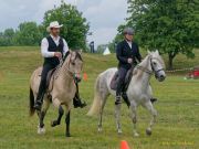 Pferd International 2025