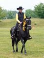 Pferd International 2025