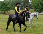 Pferd International 2025