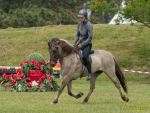 Pferd International 2025