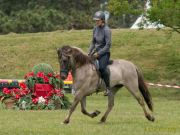 Pferd International 2025