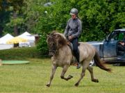 Pferd International 2025