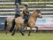 Pferd International 2025