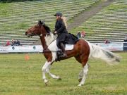 Pferd International 2025