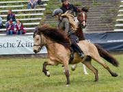 Pferd International 2025