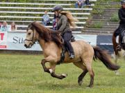 Pferd International 2025