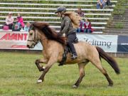 Pferd International 2025