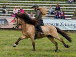 Pferd International 2025