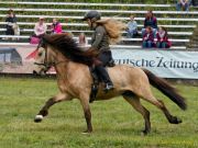 Pferd International 2025