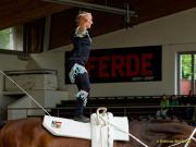 Pferd International 2025