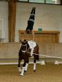 Pferd International 2025