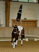 Pferd International 2025