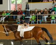 Pferd International 2025