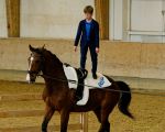 Pferd International 2025