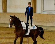 Pferd International 2025