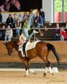 Pferd International 2025