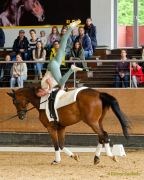 Pferd International 2025