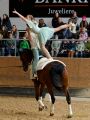 Pferd International 2025