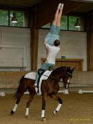 Pferd International 2025