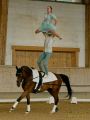 Pferd International 2025