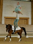 Pferd International 2025