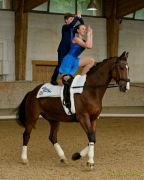 Pferd International 2025