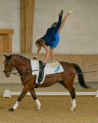 Pferd International 2025