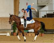 Pferd International 2025