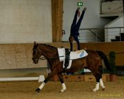 Pferd International 2025