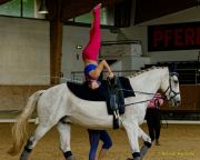 Pferd International 2025