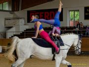 Pferd International 2025