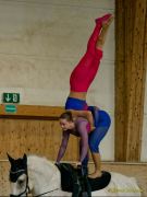 Pferd International 2025