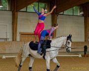 Pferd International 2025