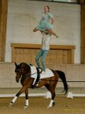 Pferd International 2025