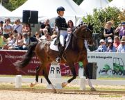 Pferd International 2025: Preis der Freunde Pferd International München 2025Nr. 31 CDI3 Grand Prix Special