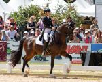 Pferd International 2025: Preis der Freunde Pferd International München 2025Nr. 31 CDI3 Grand Prix Special