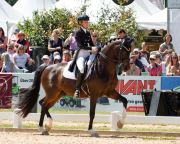 Pferd International 2025: Preis der Freunde Pferd International München 2025Nr. 31 CDI3 Grand Prix Special