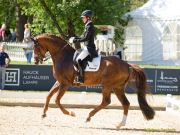 Pferd International 2025: Preis der Freunde Pferd International München 2025Nr. 25 CDI5 Grand Prix