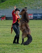 Pferd International 2025 - Schauprogramm