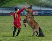 Pferd International 2025 - Schauprogramm