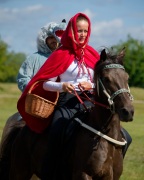 Pferd International 2025 - Schauprogramm