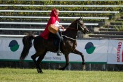 Pferd International 2025 - Schauprogramm