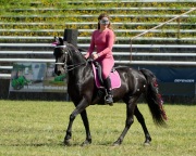 Pferd International 2025 - Schauprogramm