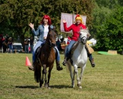 Pferd International 2025 - Schauprogramm