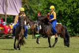 Pferd International 2025 - Schauprogramm