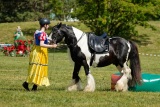 Pferd International 2025 - Schauprogramm