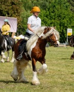 Pferd International 2025 - Schauprogramm