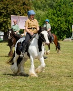 Pferd International 2025 - Schauprogramm